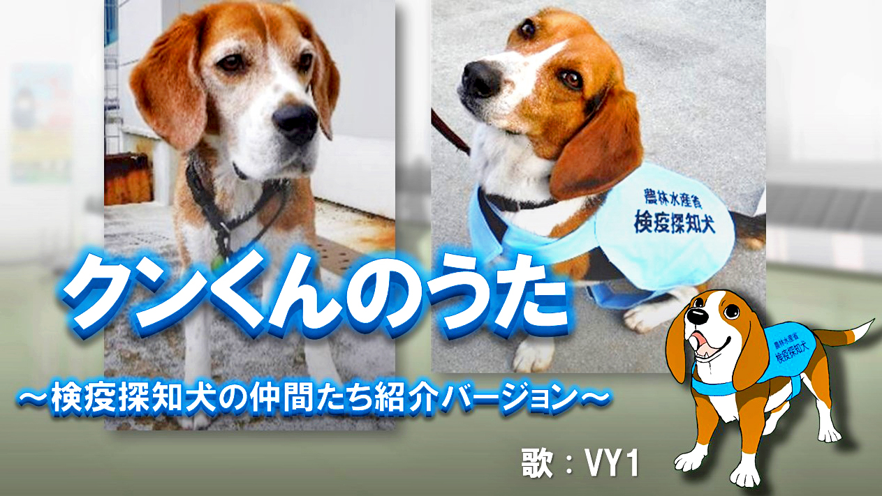 農林水産省 検疫探知犬 イメージキャラクターの クンくん は 皆さんにもっと仲間のことを知ってほしいと ボーカロイドのvy1が歌う クンくんのうた で探知犬 を紹介することにしました 空港などで頑張る検疫探知犬見かけたら ぜひ応援してくださいね