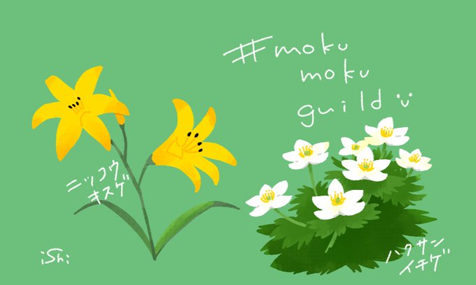 モクモクギルド第三課題の制作中 苦手意識のあった植物も描き方を工夫すればいい感じ いしかわひろこ 健康イラスト マンガ家のイラスト モクモクギルド第三課題の制作中 苦手意識のあった植物も描き方を工夫すればいい感じ いしかわひろこ 健康イラスト マンガ家のイラスト