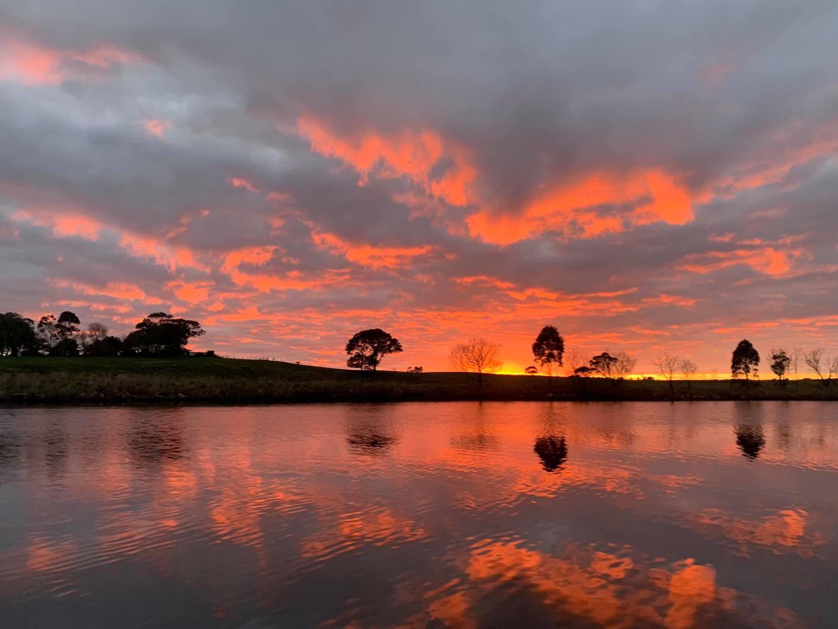 gippslakehouse's tweet photo. No official fishing report for Paynesville today, but Brad Atkins kindly let me repost yesterday’s  fishing photos taken on the Tambo River. #Bream https://t.co/lzTpKl1WHr