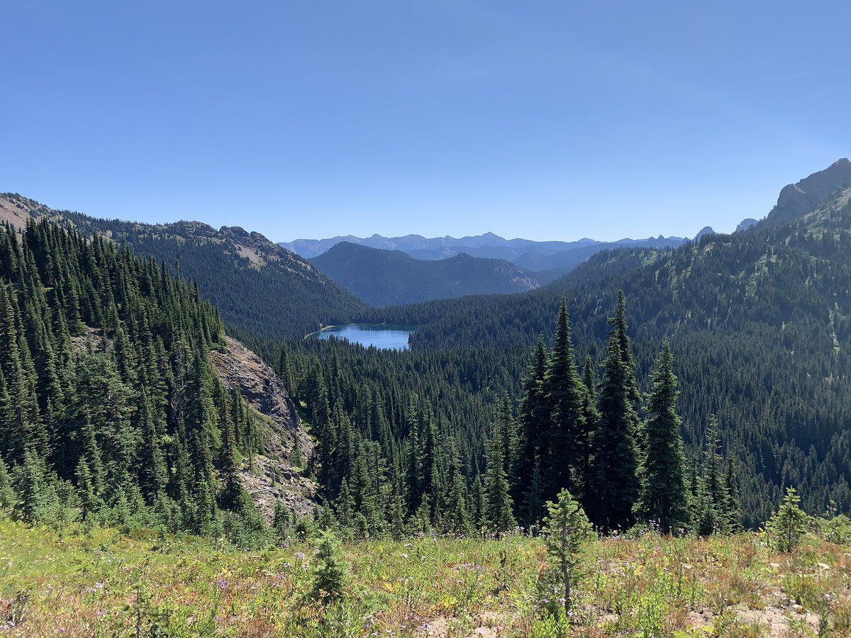 Naches Peak Loop! I think we ended up hiking a different trail? It was still pretty, and much more out in the open!