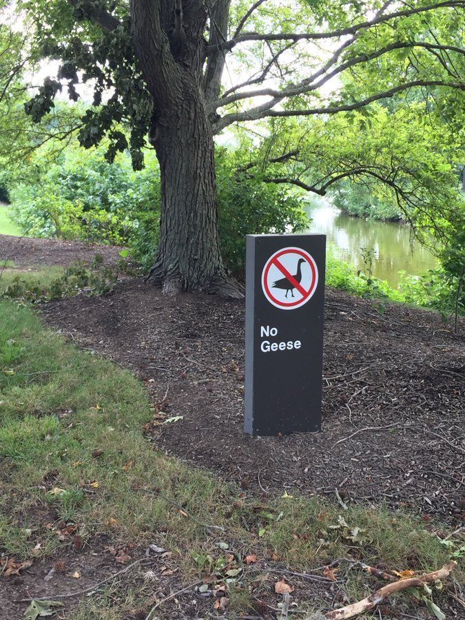 FunnyLogos's tweet photo. Who is this sign for? https://t.co/0D9lTsz4fi