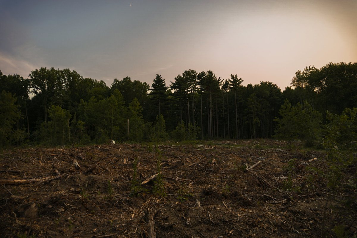 JplusRussell's tweet image. Preservation