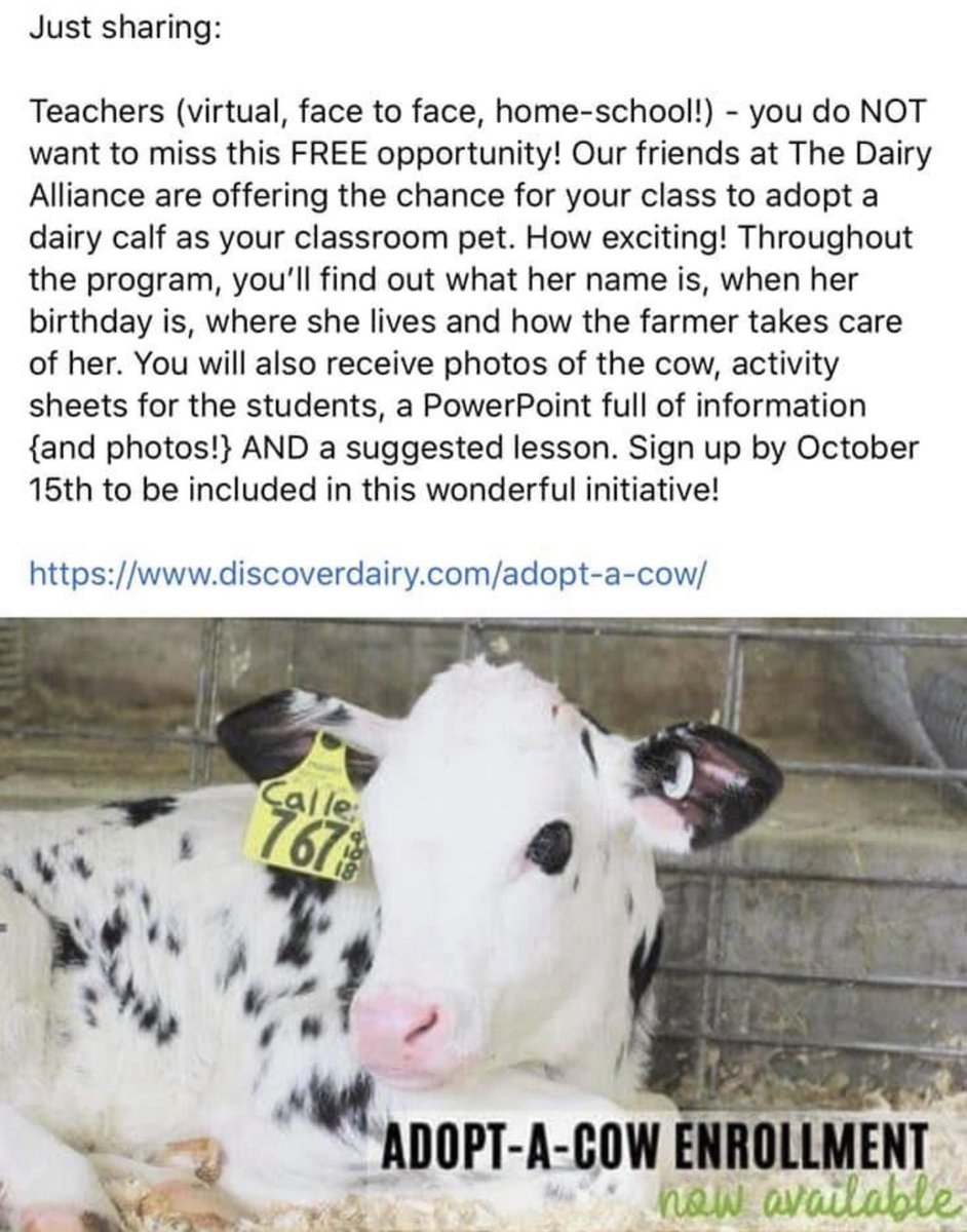 Yep....I just signed up for this! I can’t wait to see our class cow!!