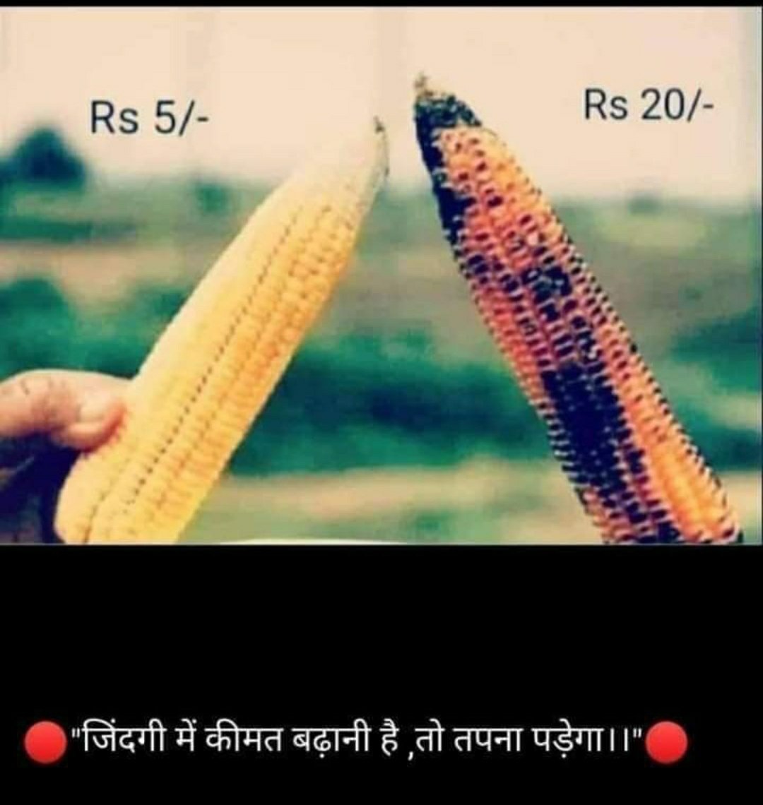 Rj Kartik tweet media