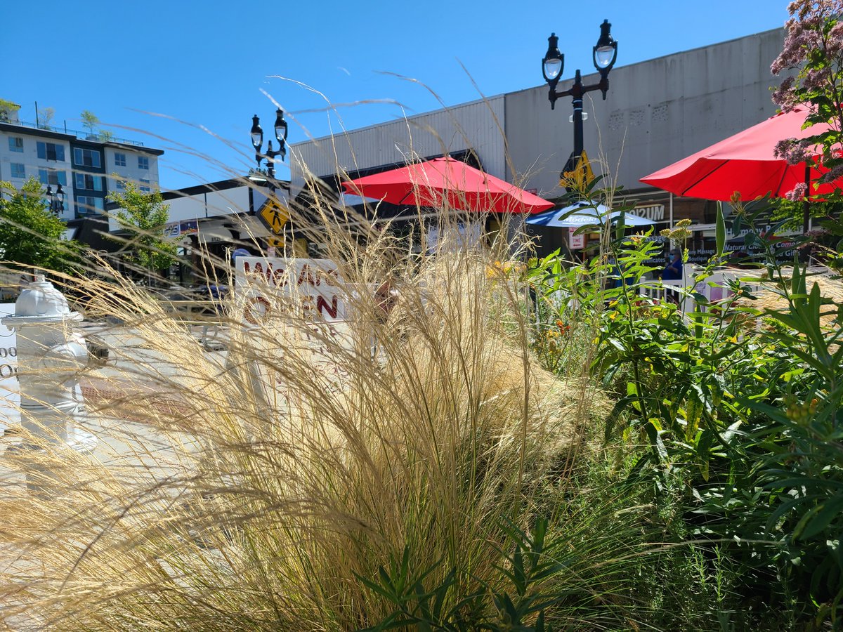 Went downtown and loved eating outside. If you can, head to Alexa's ...