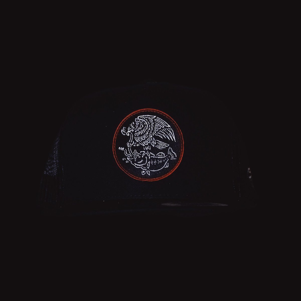 SWBT_UNGD's tweet photo. Tomorrow 10 AM PST.
Trophy Coat Of Arms Collection 2. ((Hats.Performance.Titanium))
Triple Digit Teener Gear.
#suxtcoa #civilware #swimbaitunderground https://t.co/8ySqzlrQsa