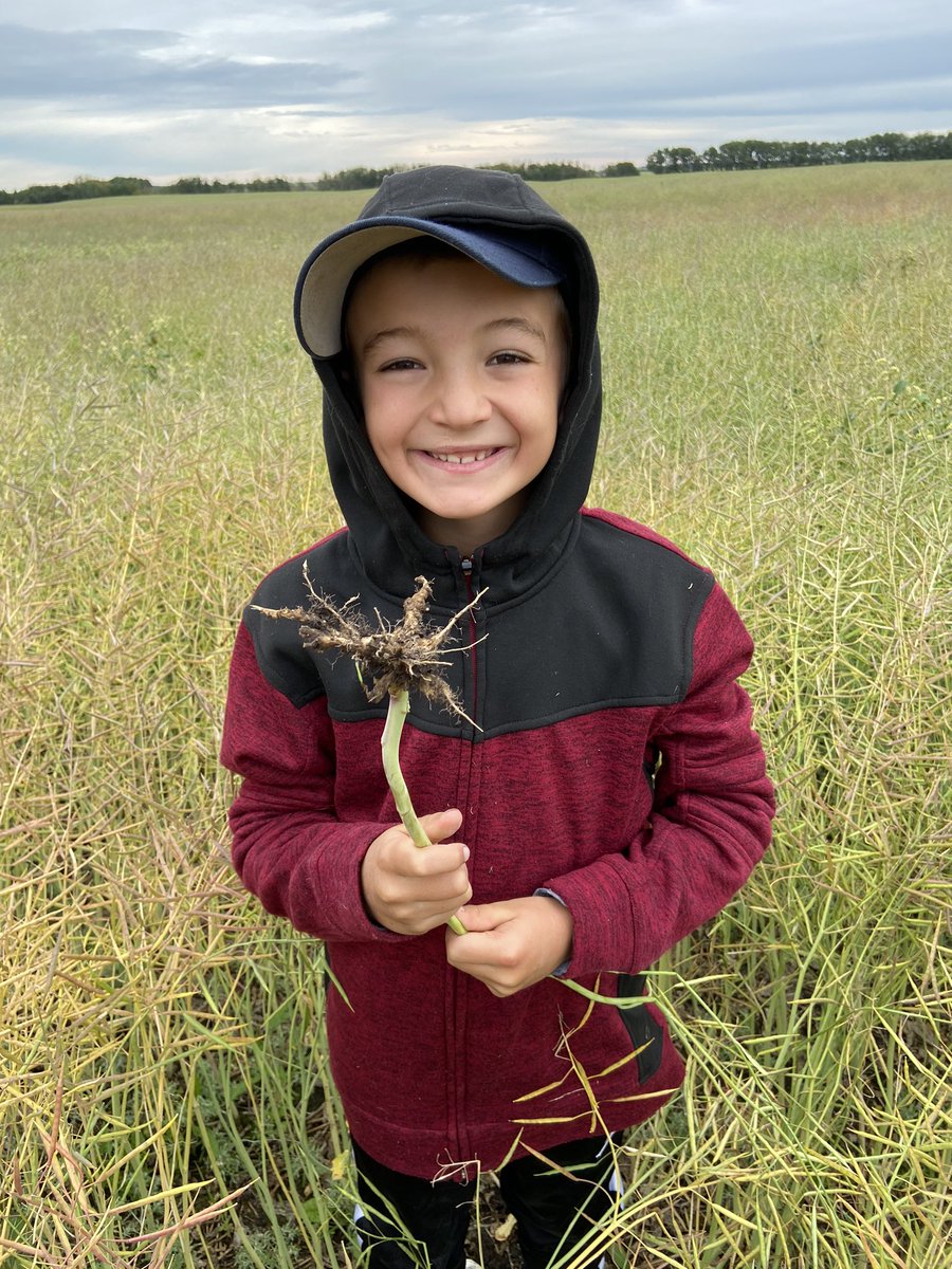 Marla Anwender tweet media