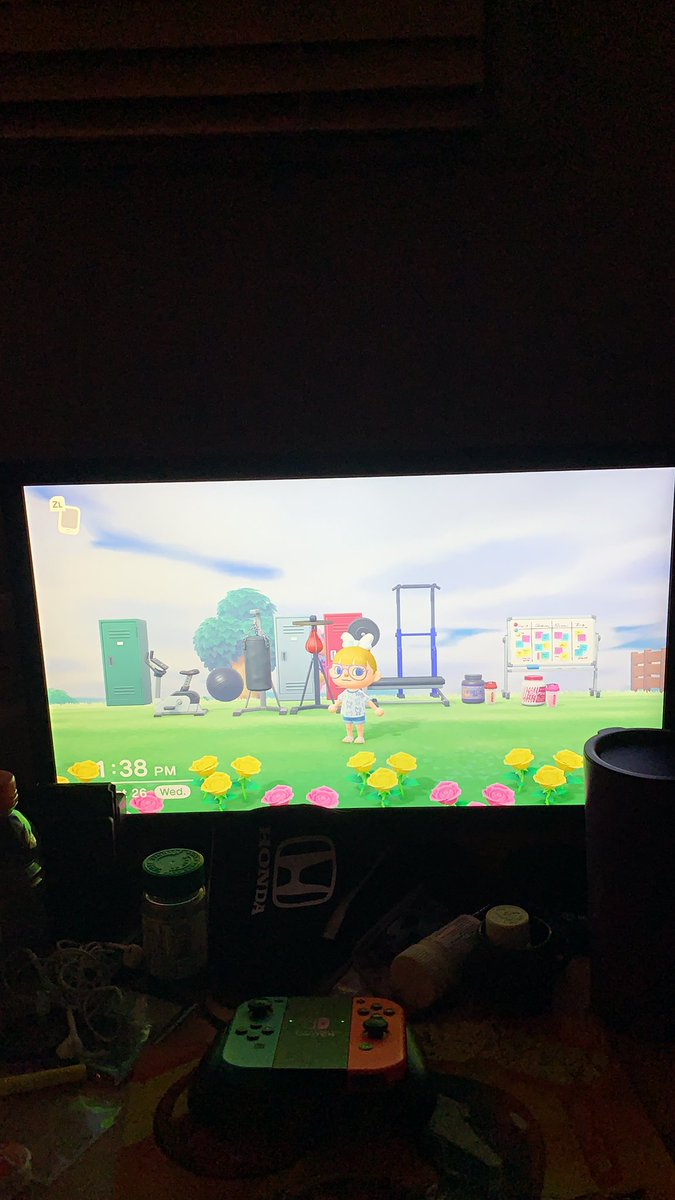 Des_ACNH's tweet photo. Looking to trade any of these items for hybrid flowers, preferably blue roses,  if anyone is interested DM me to trade #AnimalCrossingNewHorizon https://t.co/nANt0ZVQmx