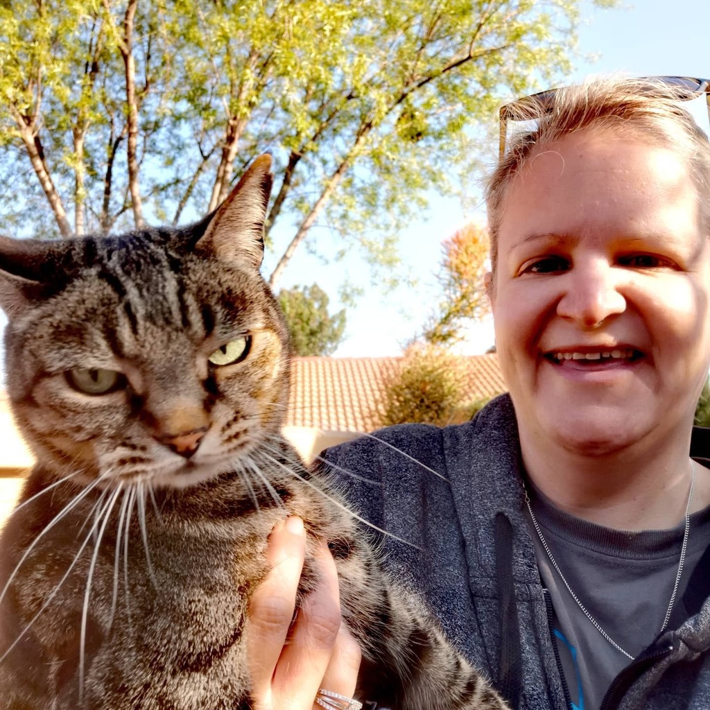 Van_Raath's tweet photo. When the Neighbours go on holiday, and their cat tries to move in with you! I think you were missed @squirreljessreilly! PS Next time, he's ours... #catvisitor #catwhisperer https://t.co/xSWSfKLya8 https://t.co/AsS1CcbH2v