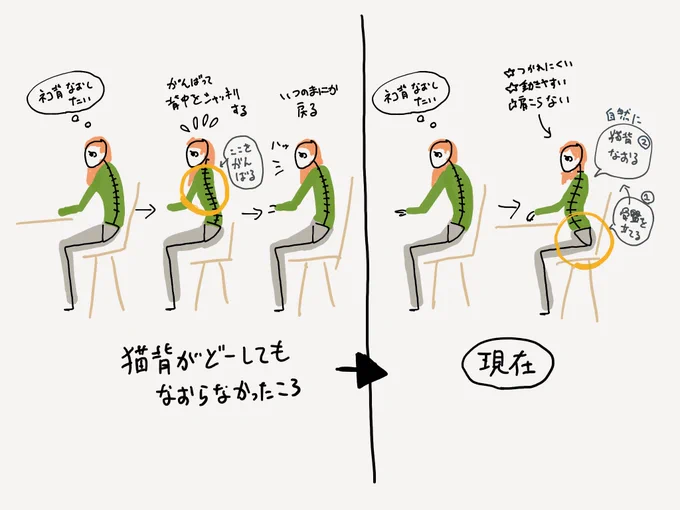 質問いただいたので、私の猫背が治った流れの図解です。
まずは座った姿勢で正しい状態を学習してコツを掴み、立った状態でもいけるようになりました。
※あくまで私の場合であり、猫背には様々なパターンがあると思います! 