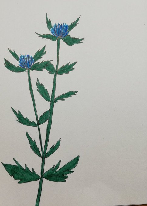 Tipのtwitterイラスト検索結果 古い順 Tipのtwitterイラスト検索結果 古い順