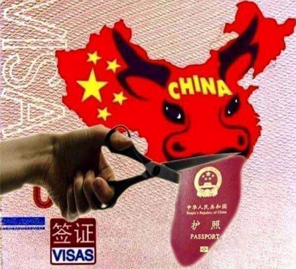 Thùy Loan tweet media