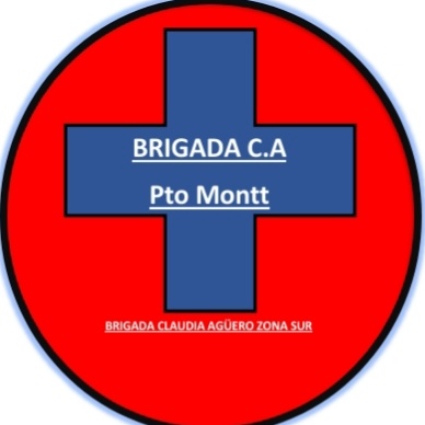 En honor a nuestra compañera desaparecida hace 8 meses, sin rastro, sin culpables, sin encontrar su cuerpo. Es que hoy somos
Brigada C.A Zona Sur
Por ti Claudia Agüero 
Para que tu nombre no se olvide, para que los medios y todos los demás sepan que faltas tú 
<a href="/Justiciaxclau/">Justicia por Claudia Agüero</a> ✊