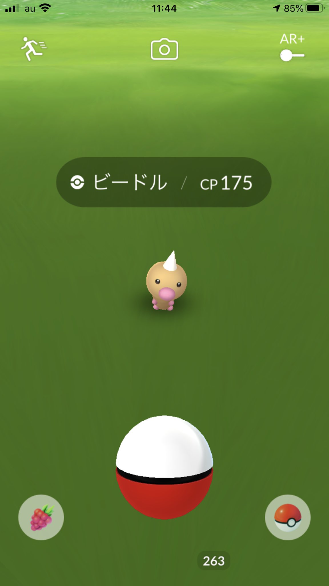 すずねちゃん メガスピアーのタスクが始まった 1 4クリアでの報酬はビードル とりあえず2 4のしたっぱ探し中 ポケ活 ポケモンgo ポケモン最大の謎を解明せよ ビードル T Co J5yhaoyqsj Twitter