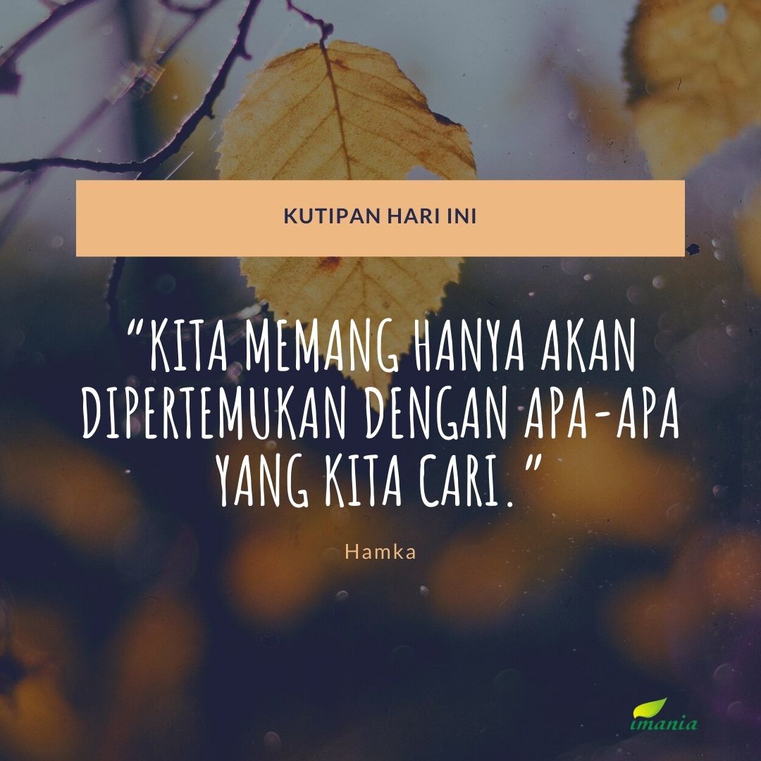 Penerbit Imania tweet media