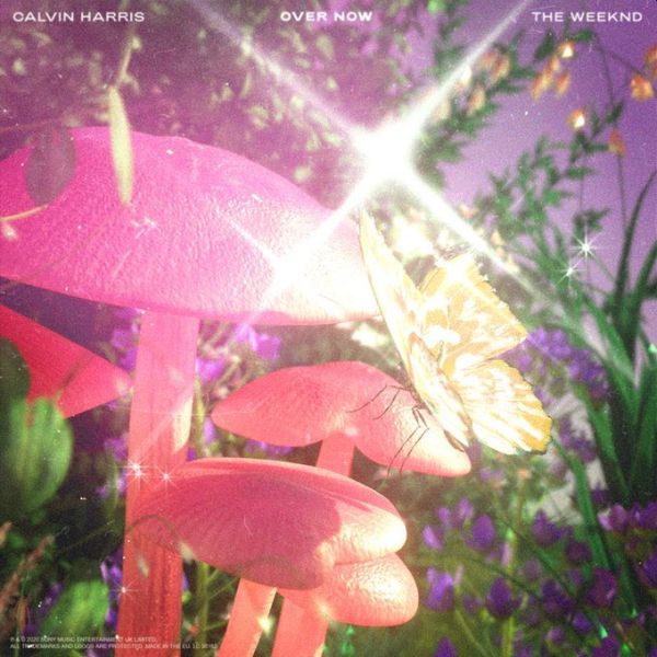Calvin Harris & The Weeknd Over Now Lyrics