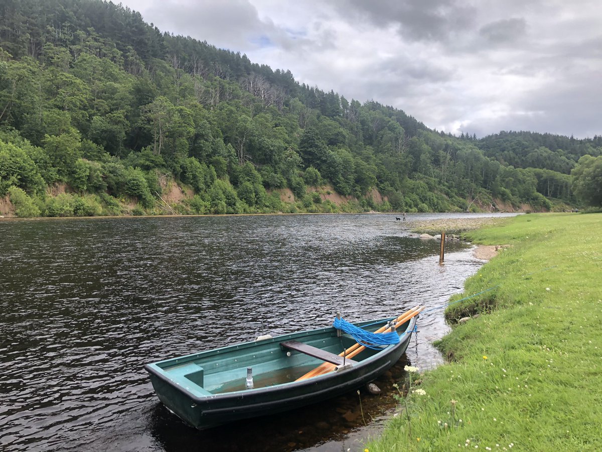 Scottish Salmon Fishing Podcast tweet media