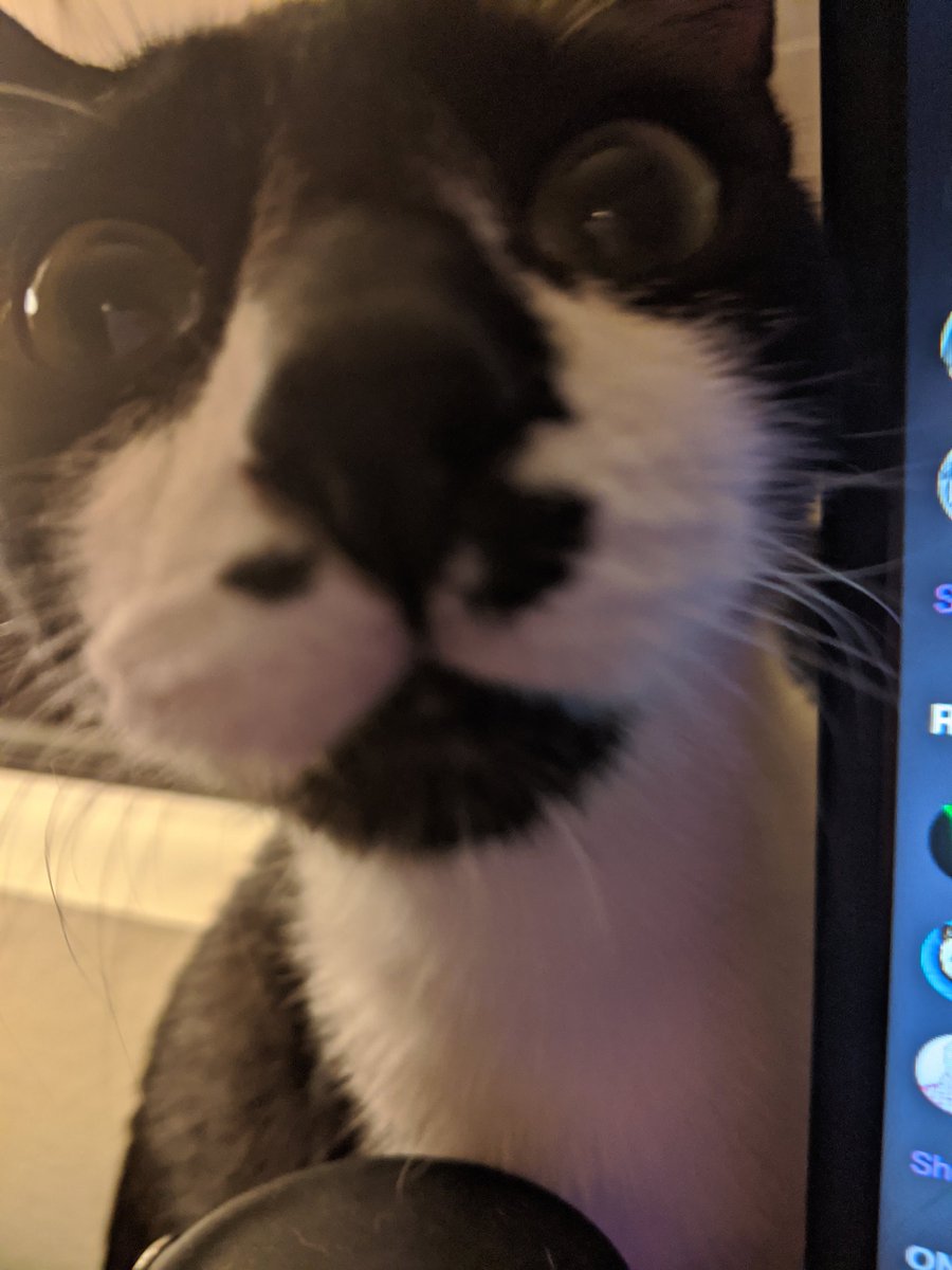 jessimama tweet media