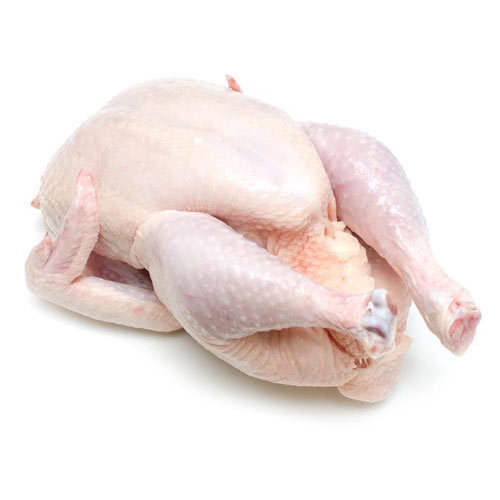 REALHAZEL_CAR's tweet photo. #GirlTalkZa Fresh Chicken, slaughtered, cleaned, packed &amp; delivered to you for FREE!

1 x Fresh Chick : R80
4 x Fresh Chicks : R300
6 x Fresh Chicks : R450
10 x Fresh Chicks : R700

📍Durban 

For More Info 

DM : @ChicksToti 
W/App: 064 006 8619

#GirlTalkZA | Sjava | #DJSBU https://t.co/DMRSoy2lDT