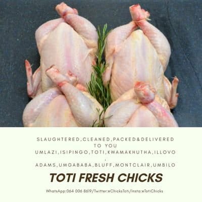 REALHAZEL_CAR's tweet photo. #GirlTalkZa Fresh Chicken, slaughtered, cleaned, packed &amp; delivered to you for FREE!

1 x Fresh Chick : R80
4 x Fresh Chicks : R300
6 x Fresh Chicks : R450
10 x Fresh Chicks : R700

📍Durban 

For More Info 

DM : @ChicksToti 
W/App: 064 006 8619

#GirlTalkZA | Sjava | #DJSBU https://t.co/DMRSoy2lDT