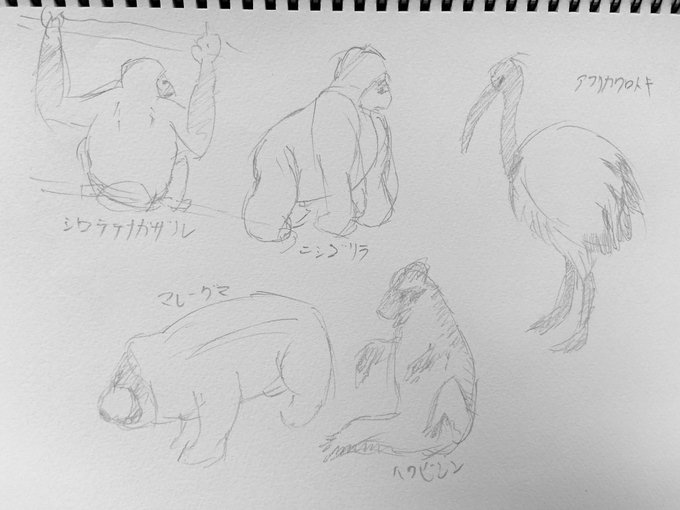 #ベランダのお絵かき修行
上野動物園での収穫
空中殴り描きだからクオリティががが 