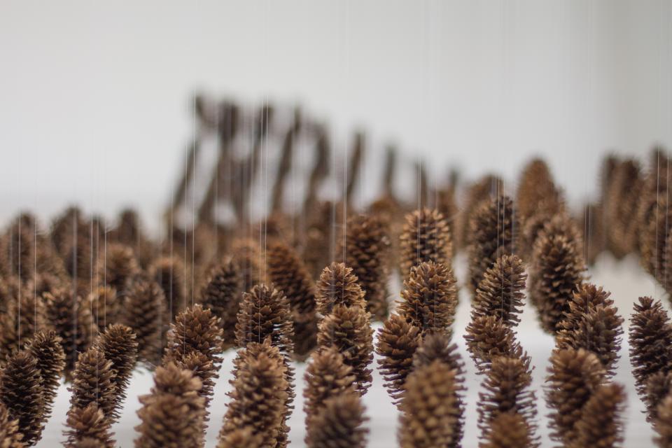 eca_edinburgh's tweet photo. 📢 New article alert! Lauren Dyer Amazeen @LAmazeen - art critic, writer and lecturer - considers MFA Art, Space & Nature grad Harmony Bury’s work in our continuing #ECASummer2020 writing series. https://t.co/SbCtNZFKUK https://t.co/SSlSZTeIPV