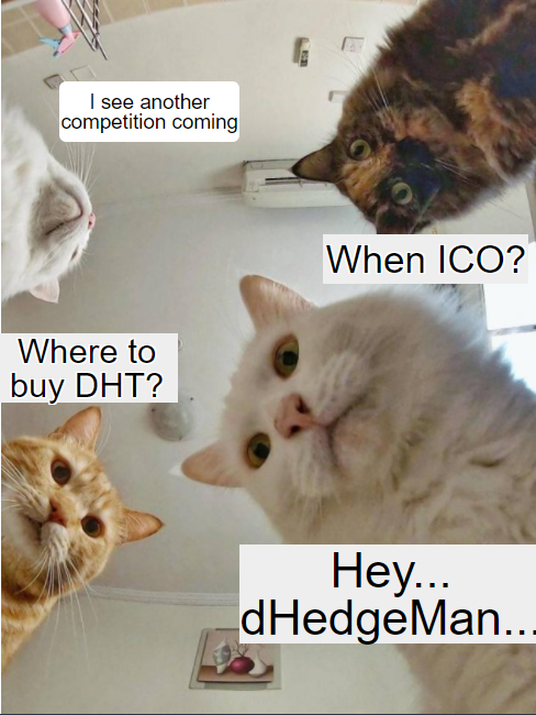 cryptomaroder's tweet image. #dHedge #DeFi $DHT