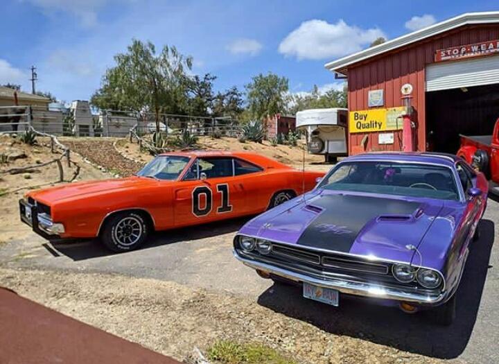 You can take one for a road trip. Which one do you choose ?

#musclecar #1970Challenger #1969Charger #BigBlock #Hemi #USA #Country #freedom