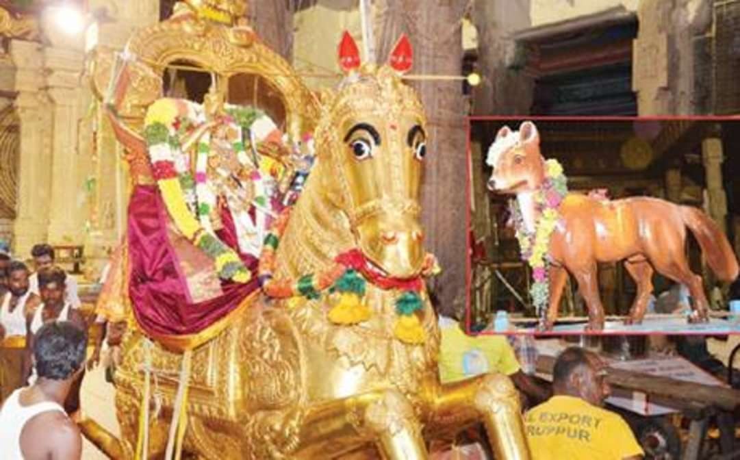 Aavani Moola festival of  #Madurai #meenakshi Amman  #Temple -dedicated to Sundareswarar (Shiva)&his Thiru vilayadals (Miracles)  #Thread 8th day of this festival -MoolaNakshatra in Tamil month Aavani -Nariyai Pariyaakkiya (Turing Foxto Horse)Leelai-to save Manickavasagar 1/n