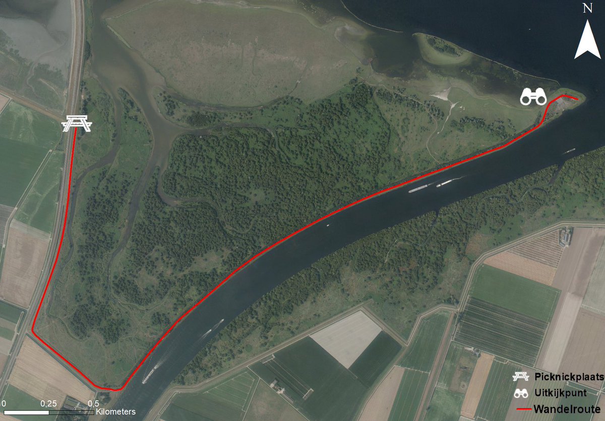 ZeeuwsLand's tweet photo. Per 1 september zullen de wandelroutes op de Slikken van de Heen worden afgesloten om de #wisenten te laten wennen aan het hele gebied. Hierbij de tijdelijke routes. https://t.co/sGl76u3SpM