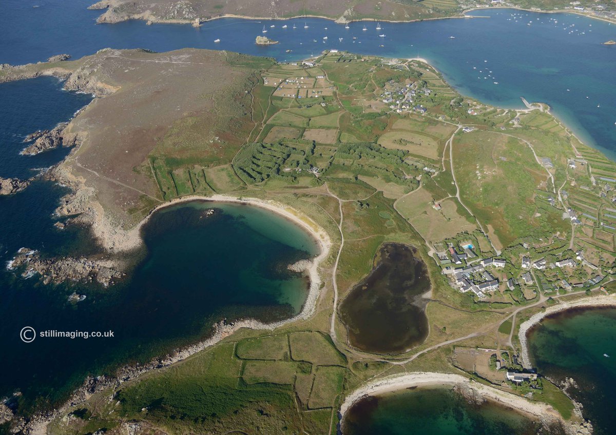 Chris Mills tweet media