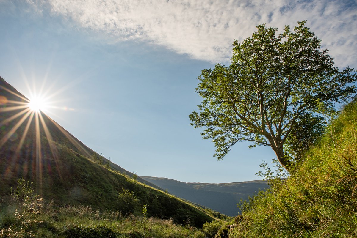 o0o_Devi_o0o's tweet photo. It's that time of year again! The time to celebrate some of the most special #trees in the UK.

Help the @WoodlandTrust crown this year’s Tree Of The Year 2020!

Vote for your favourite on the link below:

https://t.co/8MigHeLopM

#TreeOfTheYear
#NaturalBeauty
#EveryTreeHasAStory https://t.co/ZbjyPSQOlj