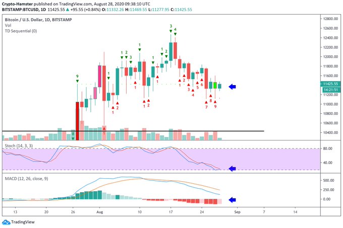  higher bitcoin analysts assert writing man term 