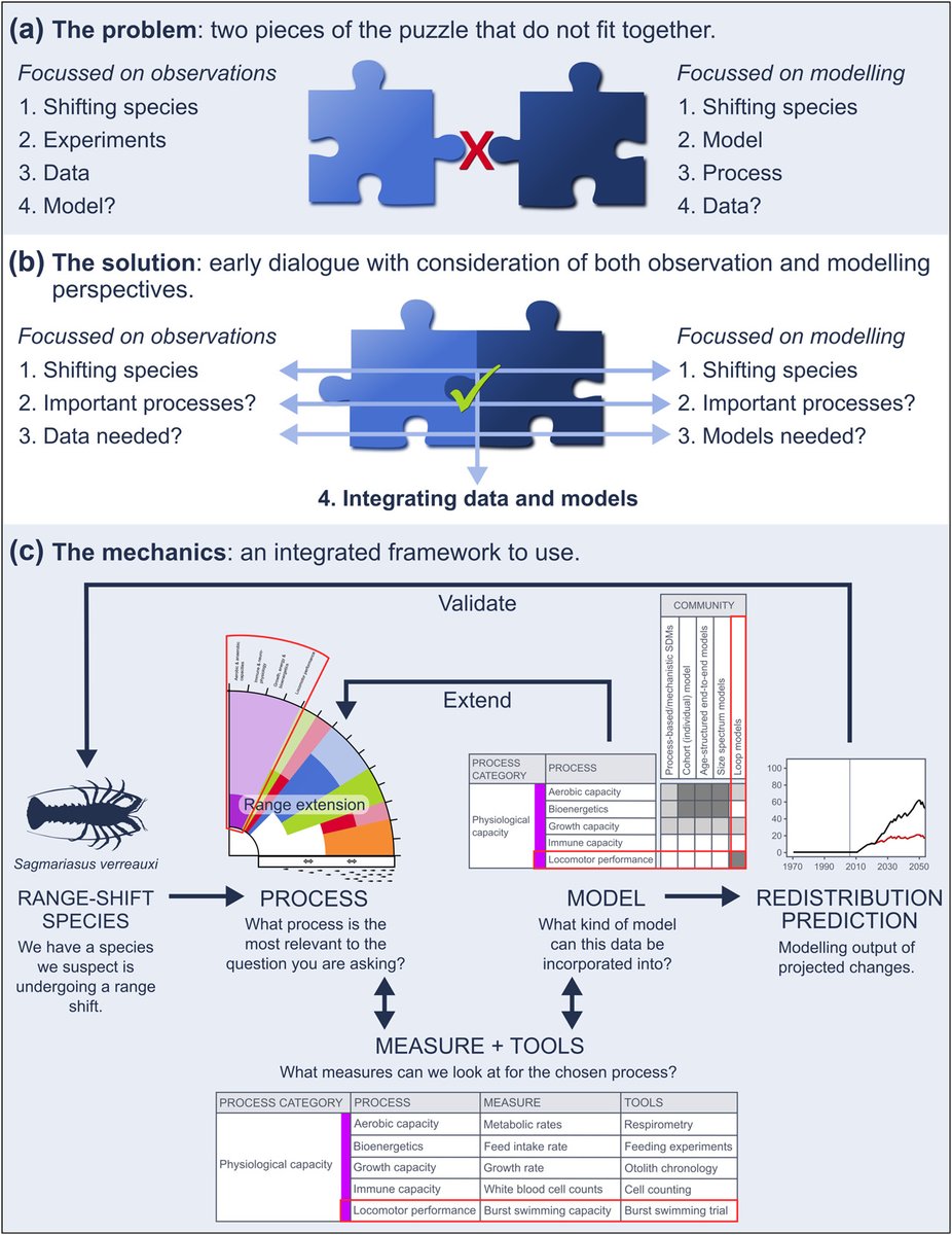 Ecography (@ecographyjourna) on Twitter photo A cross‐scale framework to support a mechanistic understanding and modelling of marine climate‐driven species redistribution, from individuals to communities onlinelibrary.wiley.com/doi/10.1111/ec… <a href="/SamTwiname/">Samantha Twiname</a> <a href="/NordicOikos/">Nordic Society Oikos</a> #climatechange #macroecology <a href="/BESMacroecol/">BES Macroecology</a> A cross‐scale framework to support a mechanistic understanding and modelling of marine climate‐driven species redistribution, from individuals to communities onlinelibrary.wiley.com/doi/10.1111/ec… <a href="/SamTwiname/">Samantha Twiname</a> <a href="/NordicOikos/">Nordic Society Oikos</a> #climatechange #macroecology <a href="/BESMacroecol/">BES Macroecology</a>