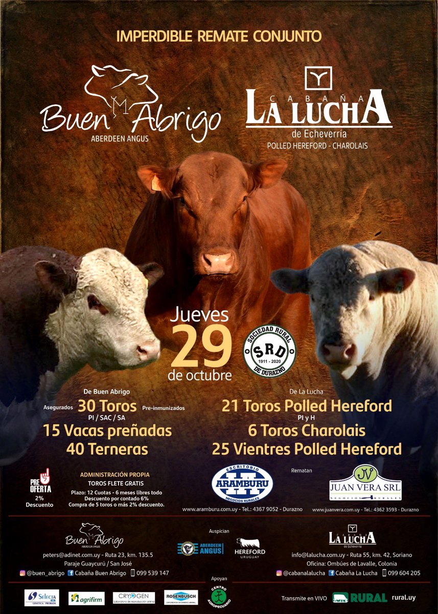juanveratis's tweet photo. En octubre muy buena genética en la rural de Durazno https://t.co/q1odiCcosO