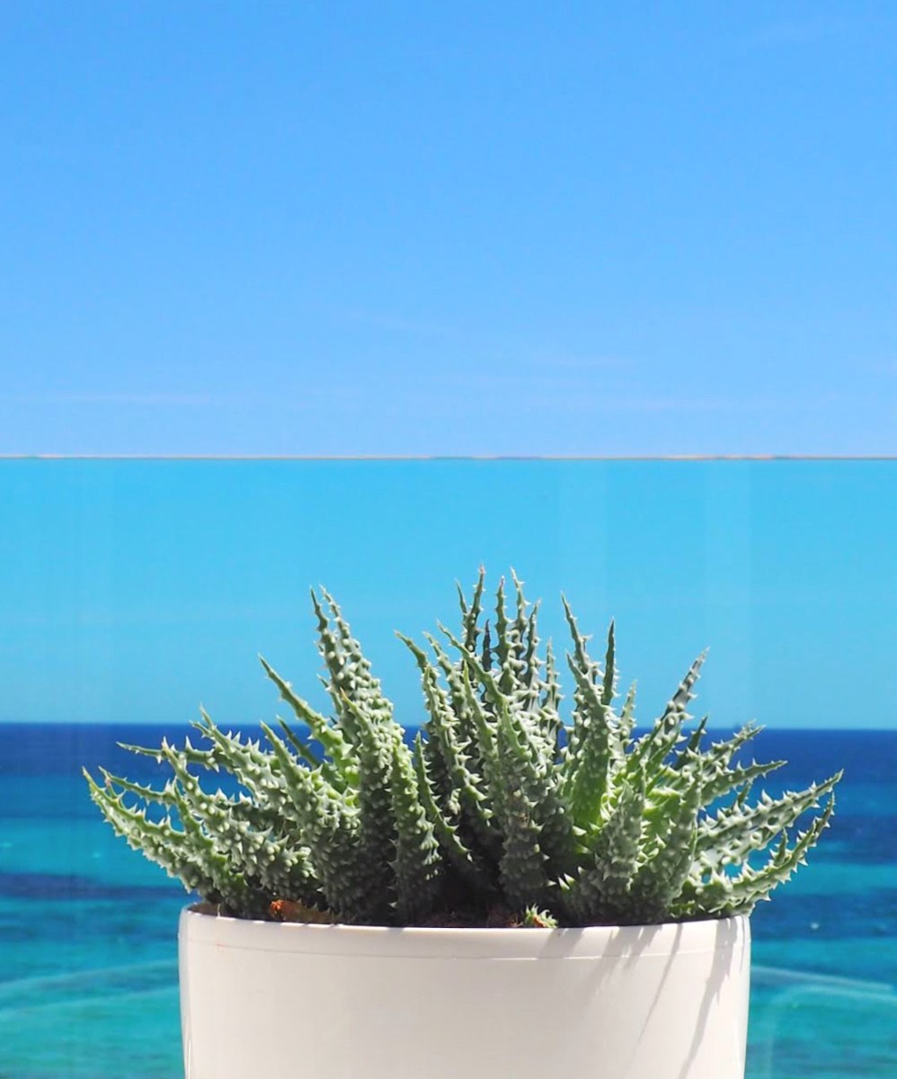 Grupotel Hotels & Resorts tweet media
