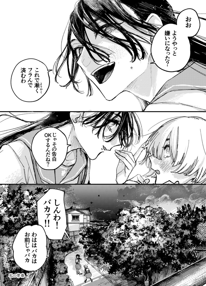 夏のいつもの帰り道百合
「私の青春」

#ぼくわたしの青春
#名古屋造形大学
#創作百合 