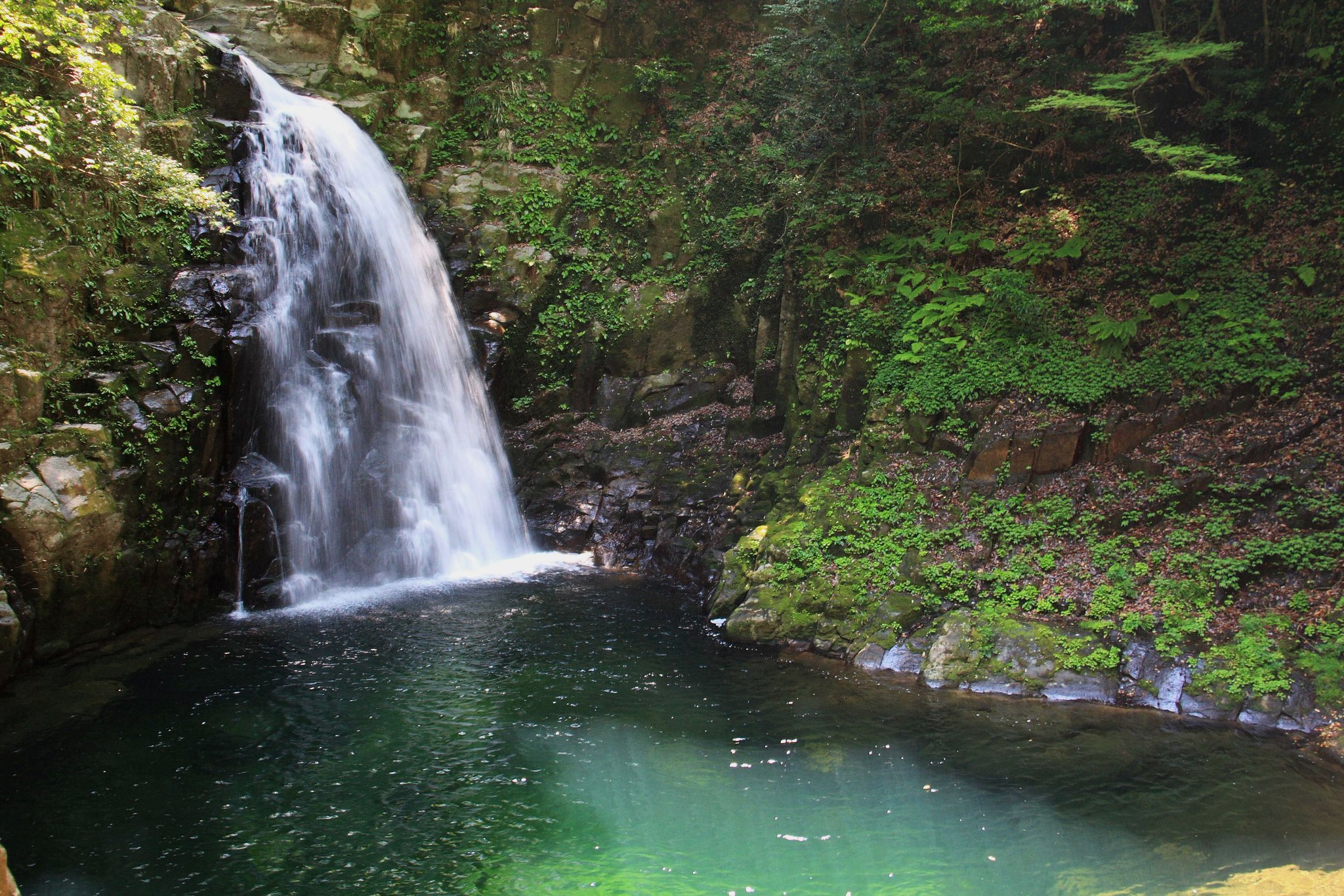片柳弘史 水しぶきを上げて流れ落ちる山奥の滝 水面を渡る冷たい風に癒されます 片柳弘史 水しぶきを上げて流れ落ちる山奥の滝 水面を渡る冷たい風に癒されます