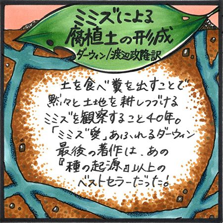 光文社古典新訳文庫 على تويتر 大地を耕すヒーロー それがミミズ ミミズによる腐植土の形成 ダーウィン 渡辺政隆訳 T Co Bqdpzvmiqu 発売からひと月もたたずに3500部を売り上げたダーウィン最後の著作