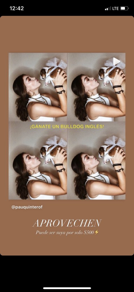 dannygrrrr's tweet photo. Me pueden explicar DAFUQ con esta morra 🥴

Neta está haciendo la rifa de un perrito!?
50 mil pesos va a ganar vendiendo 100 boletos.

Que forma más abusiva y pendeja de lucrar con la vida de un perrito. https://t.co/SwRfspctji