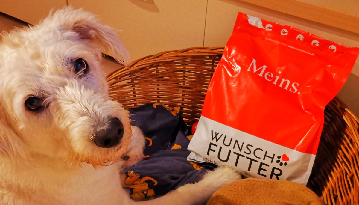 anja_micha's tweet image. Wir - und vor allem unser Easy - möchten uns bei @wunschfutter für den tollen Gewinn bedanken. 💖😘

#wunschfutter #gewinnspiel #ente #süsskartoffel #gewinn #produkttest #hundefutter #dog #meins #fressen #tierfutter #futter #tierbedarf #duck #lecker #produkttester #verlosung