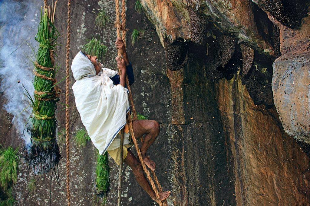 என்பது வியப்பானது. இவர்களது வாழ்க்கை முறை வினோதமானது ஏனெனில் இவர்களில் சிலர் இன்றும் எலி பாம்பு போன்றவற்றை உண்கின்றனர்.அதை விட ஆண்களும் பெண்களும் மலையேறுவதில் கை தேர்ந்தவர்கள் அதே போல பனை ஏறுவதிலும் பெண்கள் திறமையானவர்கள்.அதே போல பனையால் செய்த பறி மூலம் நீந்தி மீன் இறால்