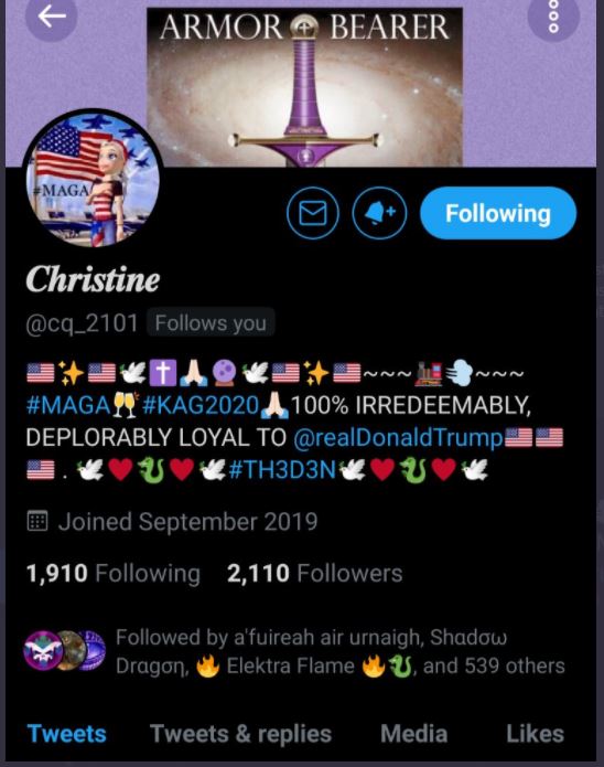 44. The Dragon Lady who told Jack to leave QAnon alone or she was gonna reveal the child trafficking hashtags got banned. SSG Pain's pinned tweet is helping her re-build her audience.