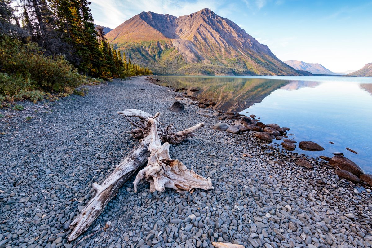 Alaska en Yukon liggen naast elkaar en zijn perfect te combineren voor een indrukwekkende rondreis met een echte wilderniservaring. Je kan hier onder andere het noorderlicht aanschouwen!

In onze nieuwe blog lees je onze top 10 bezienswaardigheden: tiogatours.nl/top-10-alaska-…