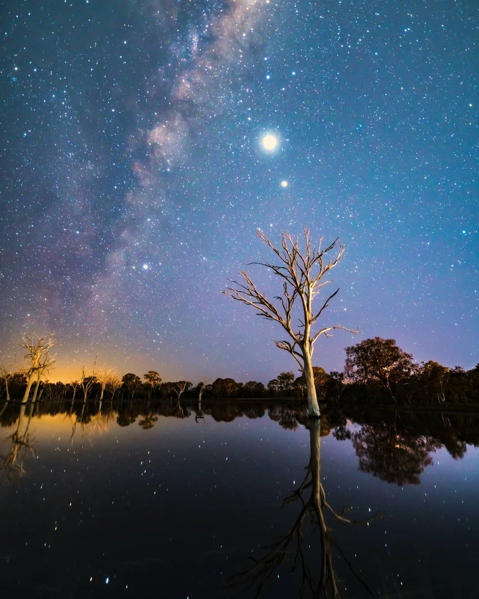 Mulligans Flat Woodland Sanctuary is not only beautiful by day, but also by night. @lyra_lightchaser booked a Twilight Tour to see the native animals awaken after dark. #VisitCanberra