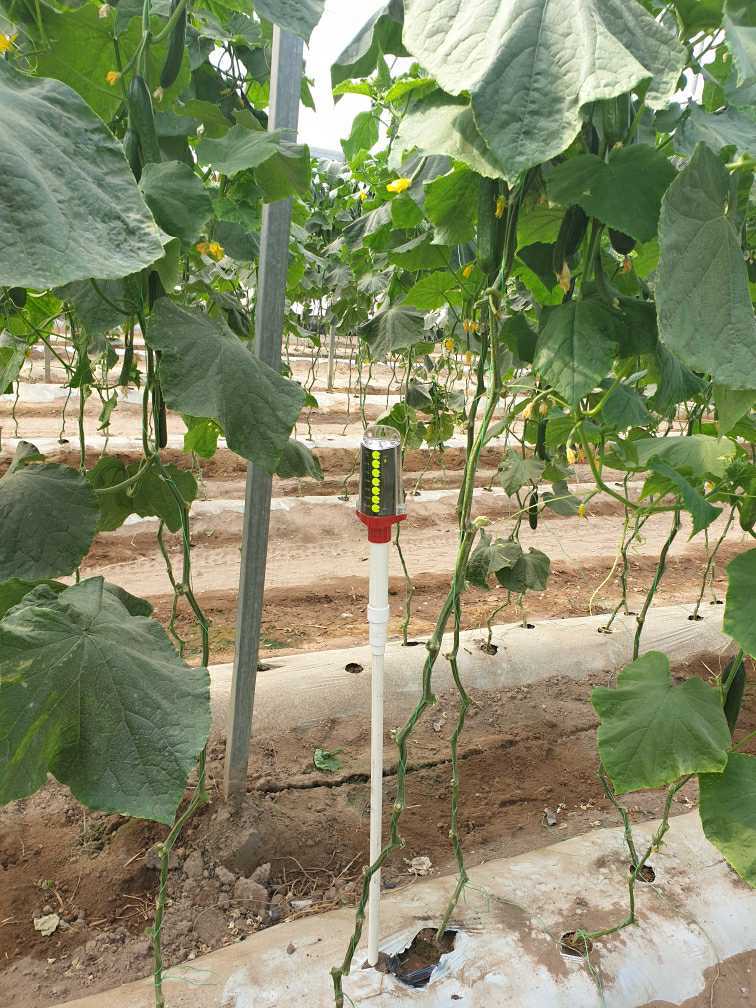 This #GDot was installed today to help a 🥒grower to see when to water. Simply!
With that information, the grower will be able to refine his irrigation scheduling, grow a healthier, more productive crop and save a considerable amount of water to 🥾.

gdot.com.au