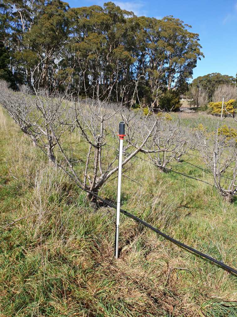 This #GreenBrainLogger (Cellular) was recently installed in an Organic 🍒 Orchard in preparation for the upcoming 🍒 season. 😋

#soilmoisturemonitoring
#GreenBrain
greenbrain.net.au