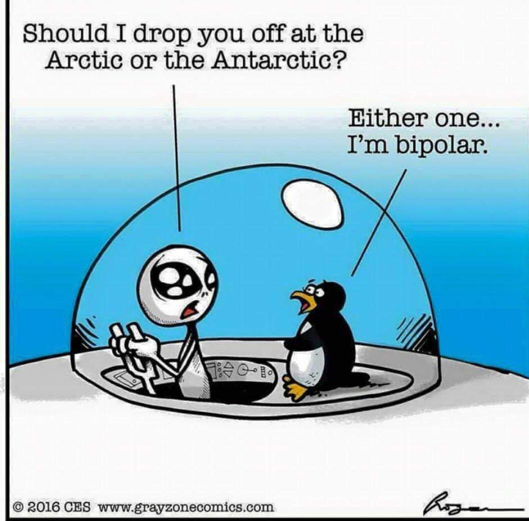 amulkapoor's tweet image. #lockdownhumour