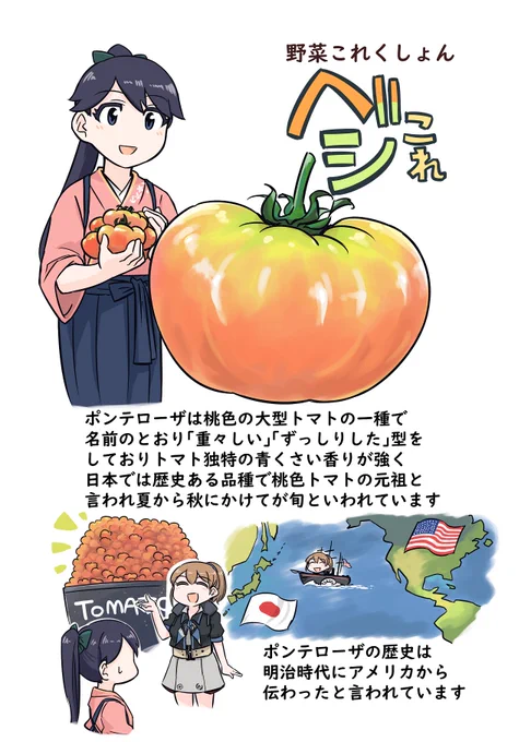 野菜これくしょん ベジこれ 第9弾 ポンテローザ編 1/2
今回も野菜ソムリエのふさ太郎さん 
@yukimifusa

との合作でお送りいたします。 