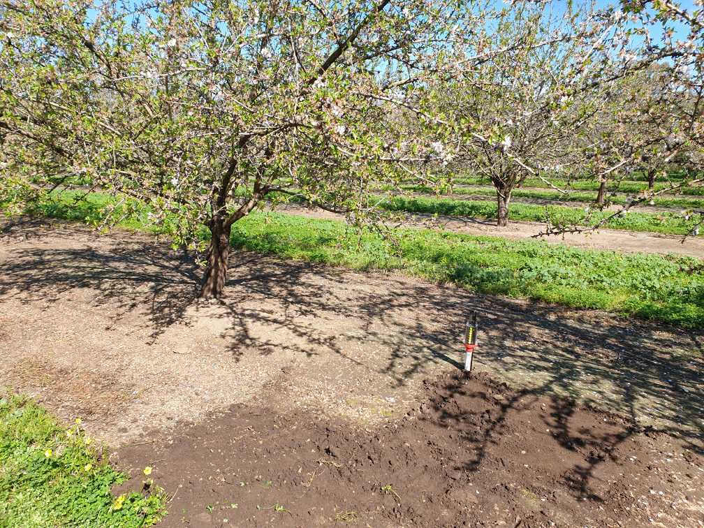 This #GDot and a few others have been installed in an Almond Orchard to confirm irrigation delivery at the end of the longest rows furthest from the pump.

See that the water is getting there. Simply!

#soilmoisturemonitoring
gdot.com.au